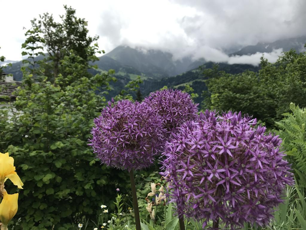 Ferienwohnung Laax Mit Traumblick, Grossem Balkon Und Terrasse Экстерьер фото